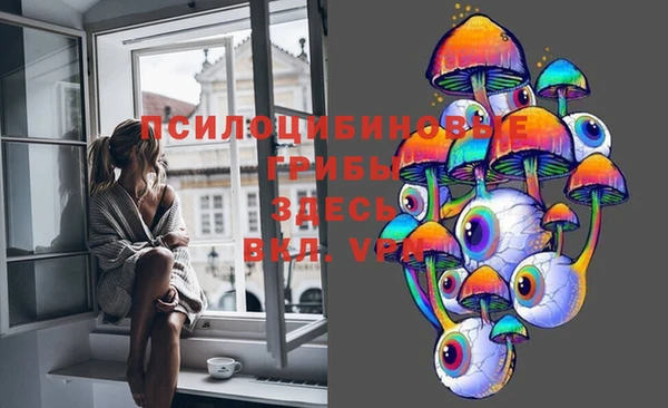 сатива Беломорск