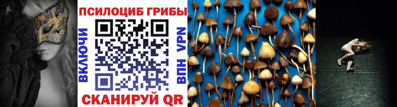 Псилоцибиновые грибы ЛСД  hydra tor  Котлас  купить закладку 